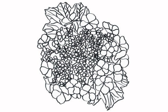 Decorative Flower Graphics for Digital Selling